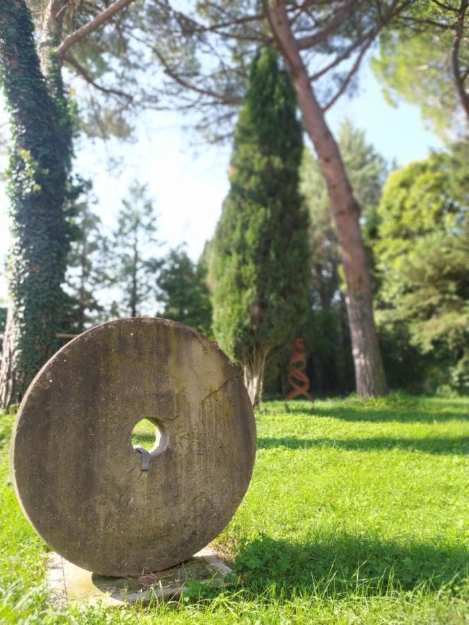 Torrenova Di Assisi Country House Buitenkant foto